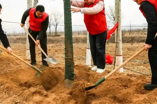 夏天能种树吗，夏天可以种树