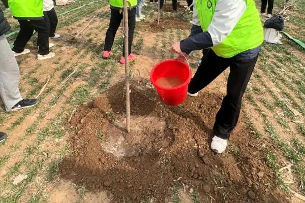 夏天能种树吗，夏天可以种树