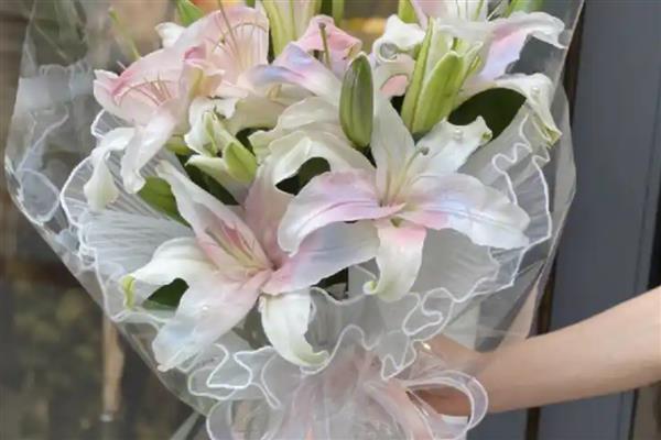 情侣之间赠送百合花的含义，具有纯洁的爱、优雅迷人、百年好合等意思