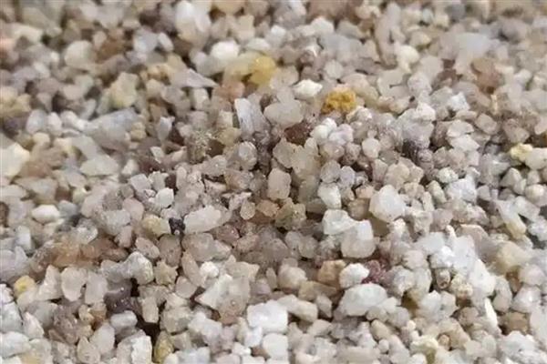 哪种兔子垫料适合使用，常用木屑、纸浆纸屑、宠物尿垫等种类