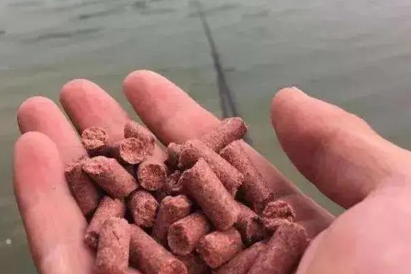 钓鱼用什么窝料打窝，用酒米效果好