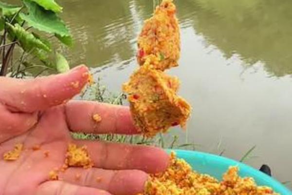 钓鱼用什么窝料打窝，用酒米效果好