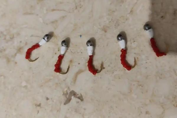 千又钩适合钓哪些鱼类，鲷鱼、黄颡鱼等品种均可钓获