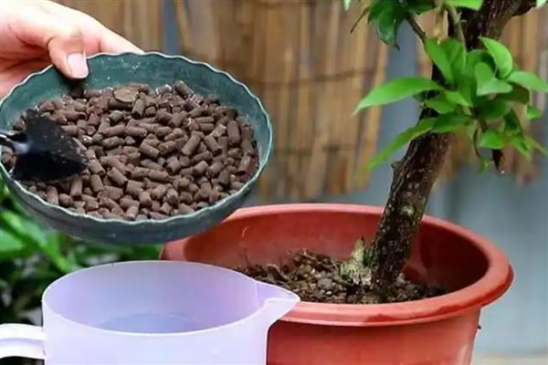 氮肥的自制方法，参考以下2种方式