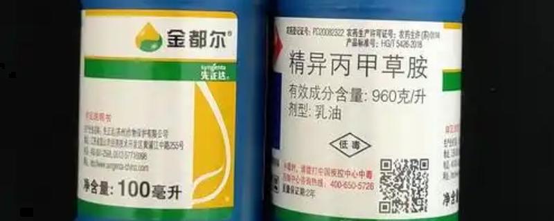 出苗后能否使用金都尔，对幼苗使用会烧伤嫩叶或致死