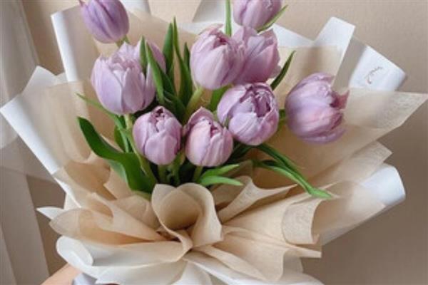紫色郁金香的花语，寓意高贵的爱、无尽的爱等