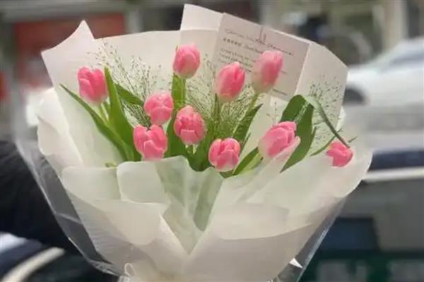 紫色郁金香的花语，寓意高贵的爱、无尽的爱等
