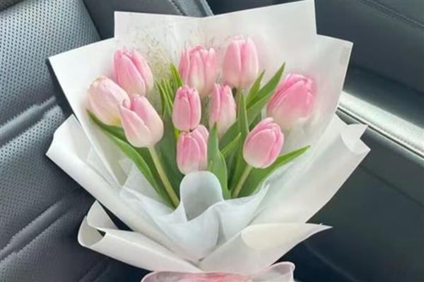 紫色郁金香的花语，寓意高贵的爱、无尽的爱等