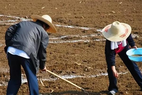 农民种地的过程，先选择合适的土壤