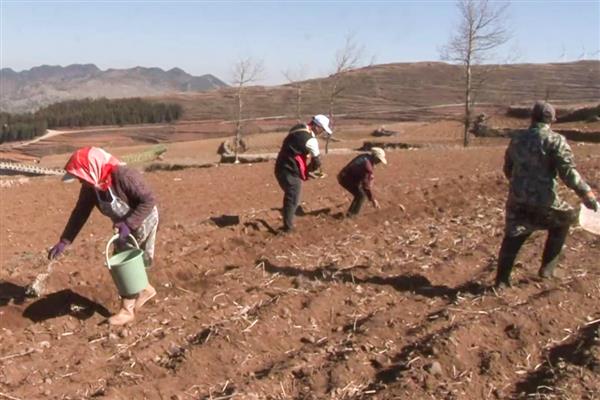 农民种地的过程，先选择合适的土壤