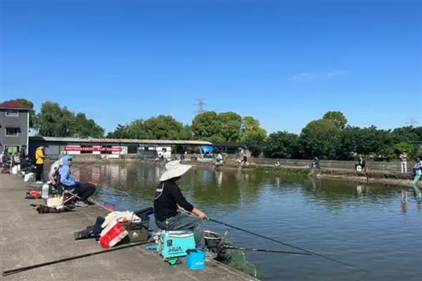 春天钓鲫鱼如何选择垂钓位置，早春可在回水湾、深滩等地方作钓