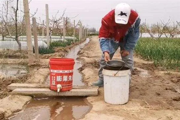 冲施肥的使用技巧，需正确选择冲施肥的肥料种类