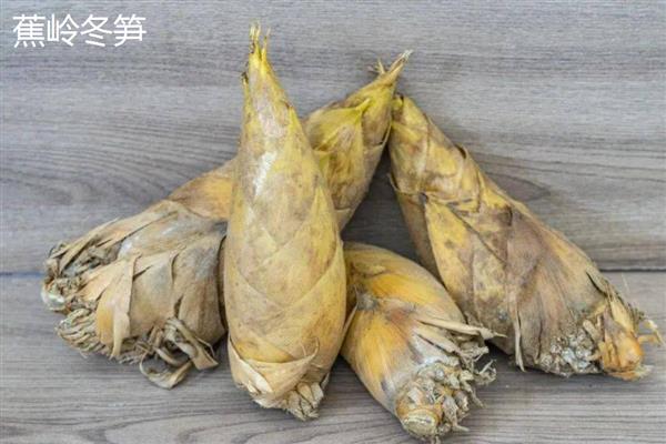 我国哪些地方产的竹笋有名，黑山、峨边和乐安的竹笋出名