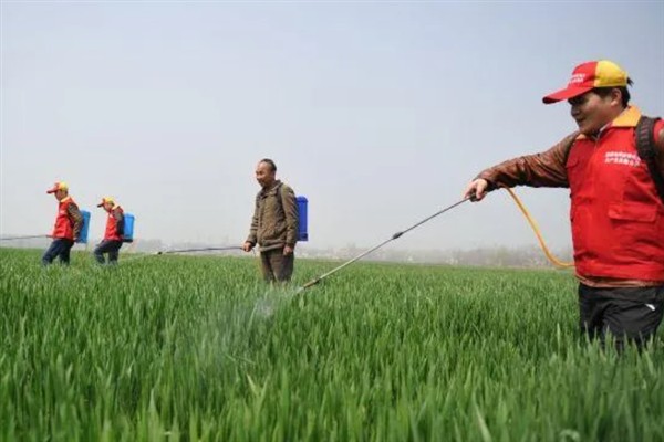 氟硅唑有什么作用，可防治梨黑星病、蔬菜白粉病等病害