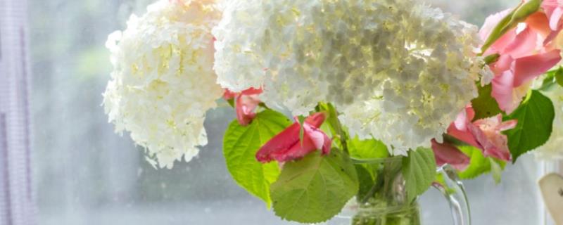 插瓶鲜花蔫了如何救活，可及时更换清水