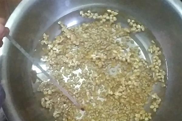 蔬菜种子怎么催芽，常见温水浸种、热水烫种等8种方式