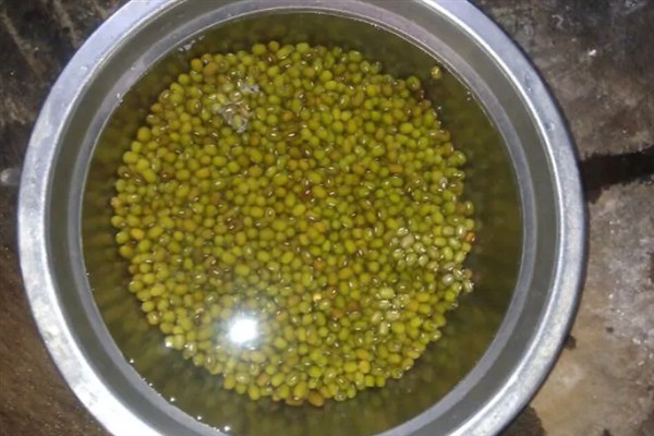 挑选绿豆的方法，大小匀称、无杂质和虫眼的绿豆品质较好