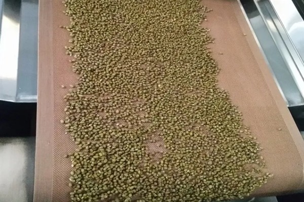 挑选绿豆的方法，大小匀称、无杂质和虫眼的绿豆品质较好