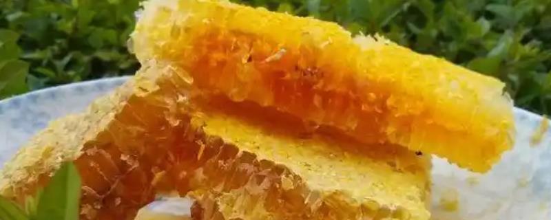 黑蜂蜂蜜的价格，大约在60-80元左右一斤