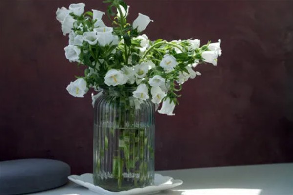 插瓶鲜花蔫了如何救活，可及时更换清水