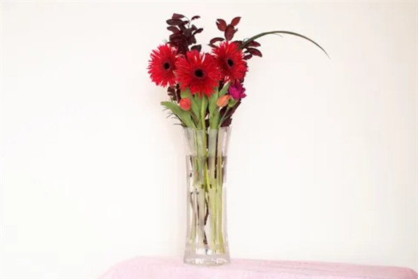 插瓶鲜花蔫了如何救活，可及时更换清水