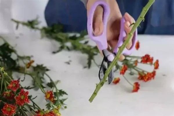 插瓶鲜花蔫了如何救活，可及时更换清水