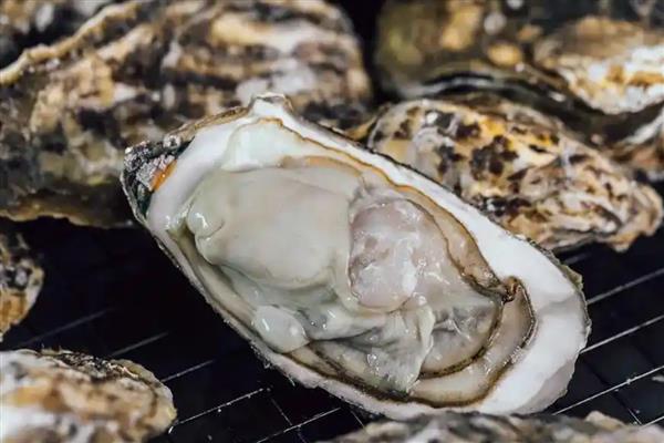 亚洲长牡蛎的产地,原产于亚洲太平洋沿岸