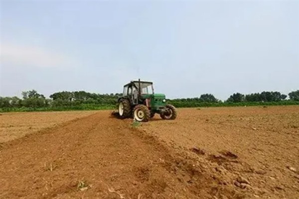 怎么种植花生，播种深度以5厘米左右为宜
