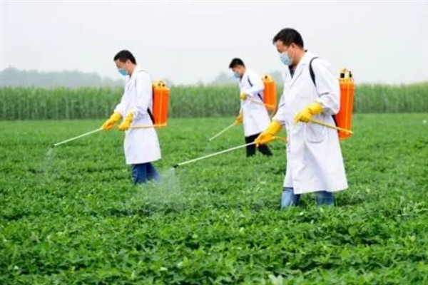 怎么种植花生，播种深度以5厘米左右为宜