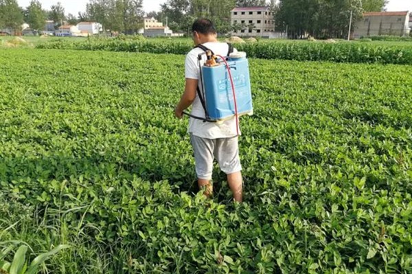 怎么种植花生，播种深度以5厘米左右为宜