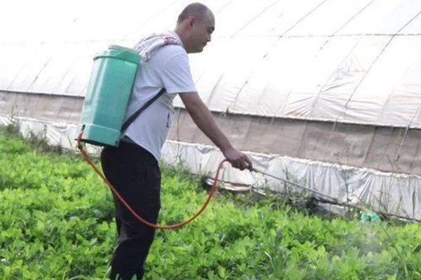 怎么种植花生，播种深度以5厘米左右为宜