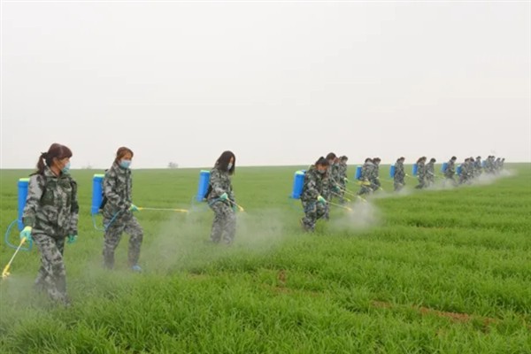 苗圃早春要预防什么，注意防治冻害、湿害、病害和肥害