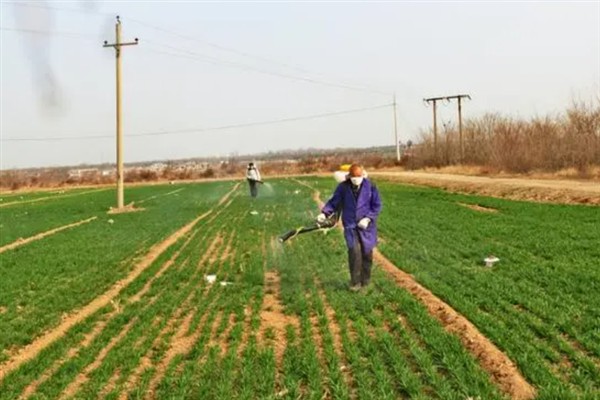 苗圃早春要预防什么，注意防治冻害、湿害、病害和肥害