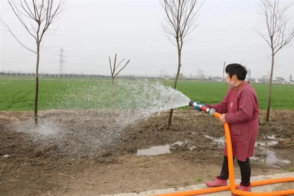 苗圃早春要预防什么，注意防治冻害、湿害、病害和肥害