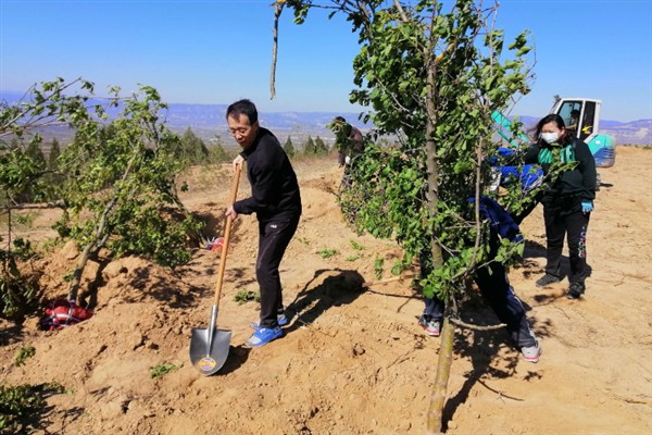苗圃早春要预防什么，注意防治冻害、湿害、病害和肥害