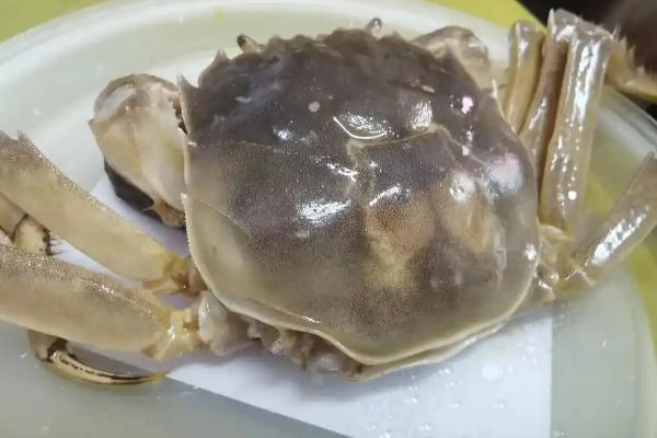 挑选螃蟹的方法，蟹足圆润鼓胀有弹性代表很肥美