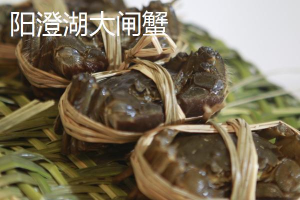 挑选螃蟹的方法，蟹足圆润鼓胀有弹性代表很肥美