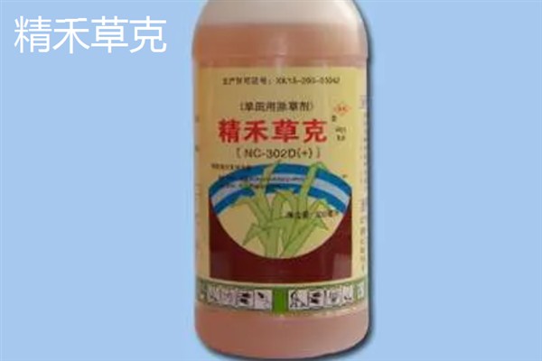 辣椒地怎么除草，生长期除草用吡氟氯禾灵乳油