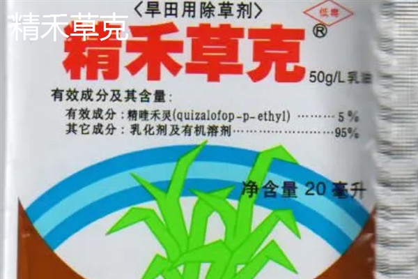 辣椒地怎么除草，生长期除草用吡氟氯禾灵乳油
