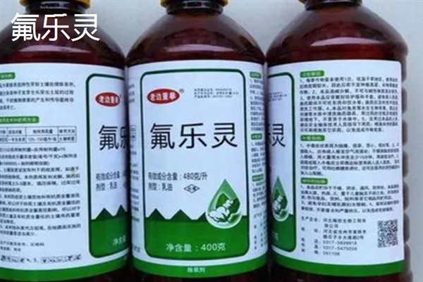 辣椒地怎么除草，生长期除草用吡氟氯禾灵乳油