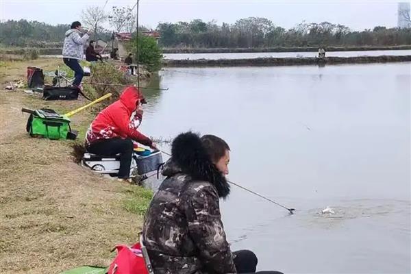 钓鱼水底有水草如何处理，可以用工具将其清理掉