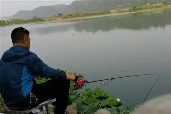 钓鱼水底有水草如何处理，可以用工具将其清理掉