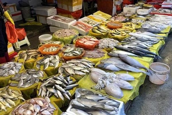 海产品可以向哪些方向发展，从品牌、优质、服务等方面去考虑