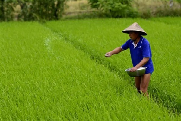 磷肥有什么种类，常见过磷酸钙、钙镁磷肥、磷酸一铵等肥料