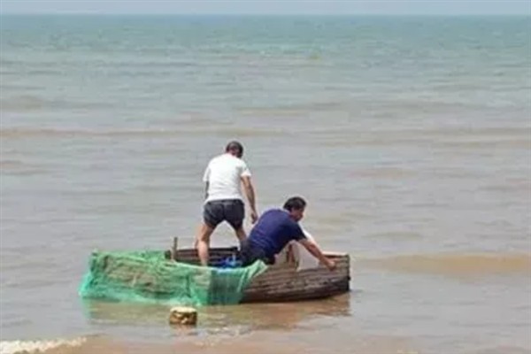 海瓜子怎么养殖，排干水塘再将种苗均匀撒在塘面上