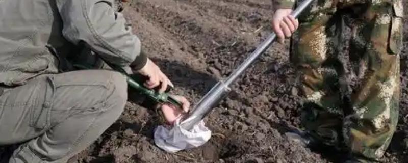 怎么进行作物测土配方施肥，可以进行田间试验