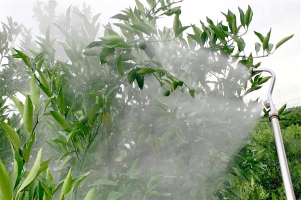 甲霜恶霉灵的防治对象，可防治水稻菌核病、花生根腐病等多种病害
