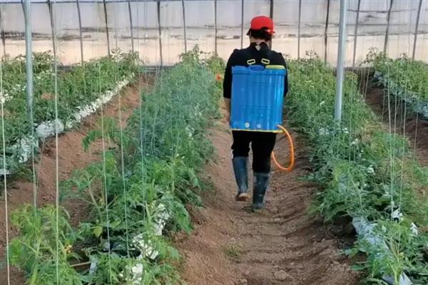甲霜恶霉灵的防治对象，可防治水稻菌核病、花生根腐病等多种病害