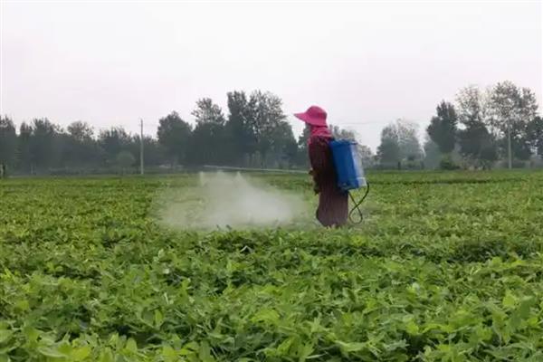 甲霜恶霉灵的防治对象，可防治水稻菌核病、花生根腐病等多种病害