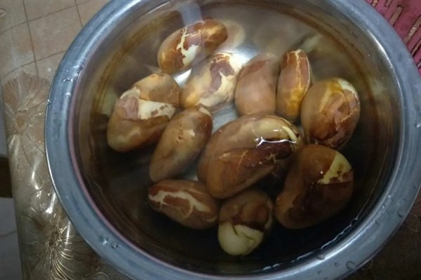怎么种菠萝蜜，播种前需要浸种